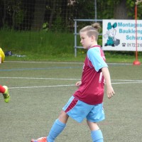 TSV Jugendturnier 2017